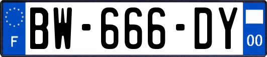 BW-666-DY