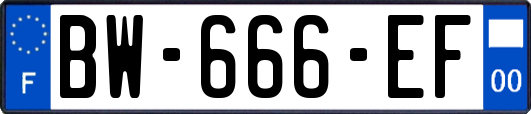 BW-666-EF