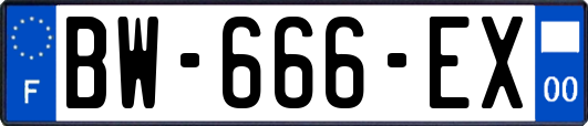 BW-666-EX