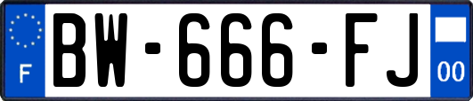 BW-666-FJ