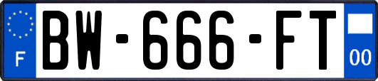 BW-666-FT