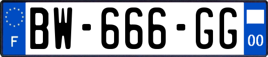 BW-666-GG