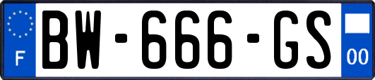BW-666-GS