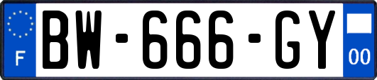 BW-666-GY