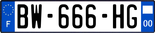 BW-666-HG