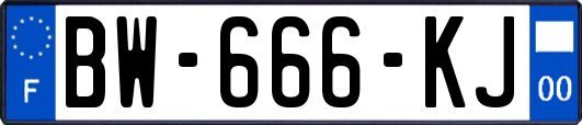 BW-666-KJ