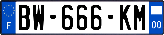 BW-666-KM