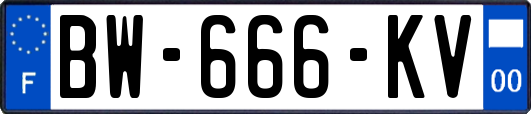 BW-666-KV