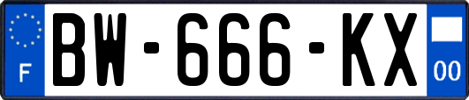 BW-666-KX