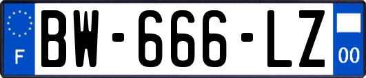 BW-666-LZ