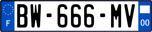 BW-666-MV