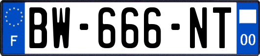 BW-666-NT