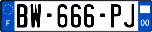 BW-666-PJ