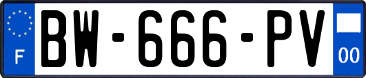 BW-666-PV