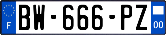 BW-666-PZ