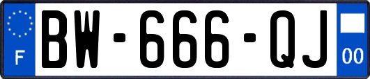 BW-666-QJ