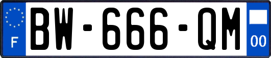 BW-666-QM