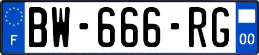 BW-666-RG
