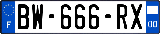 BW-666-RX