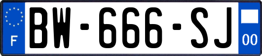 BW-666-SJ
