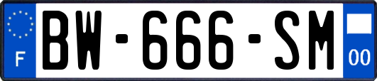 BW-666-SM