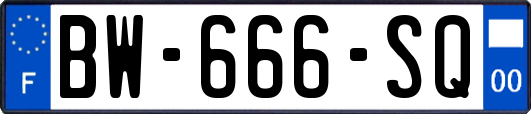 BW-666-SQ