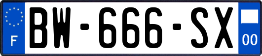BW-666-SX