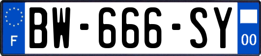 BW-666-SY