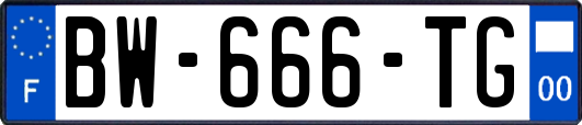 BW-666-TG