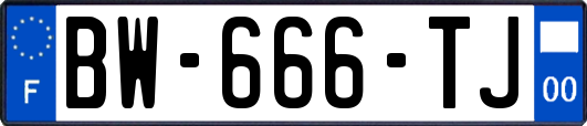 BW-666-TJ