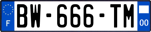 BW-666-TM