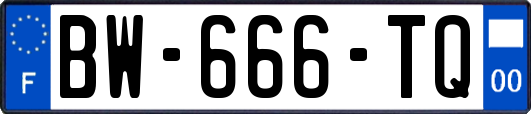 BW-666-TQ
