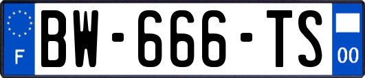 BW-666-TS