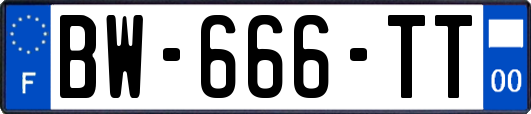 BW-666-TT