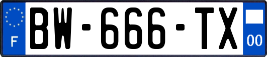 BW-666-TX