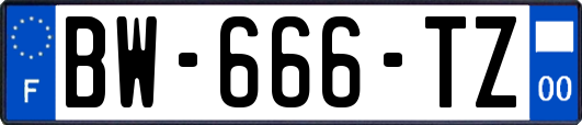 BW-666-TZ