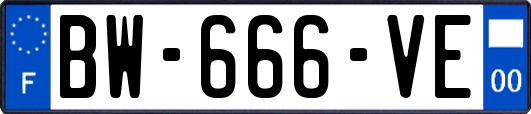 BW-666-VE