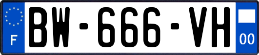 BW-666-VH