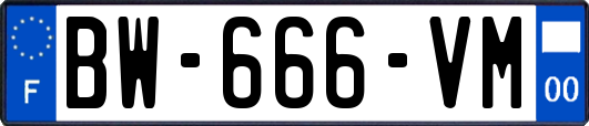 BW-666-VM