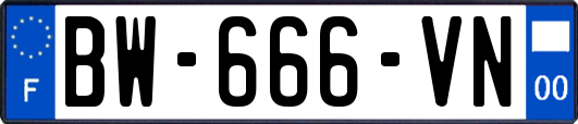 BW-666-VN