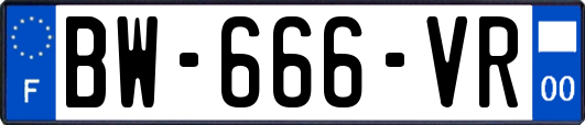 BW-666-VR