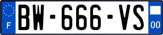 BW-666-VS