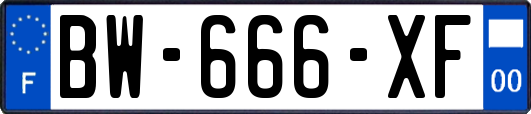 BW-666-XF