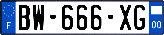 BW-666-XG