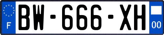 BW-666-XH