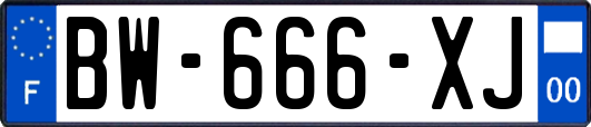 BW-666-XJ
