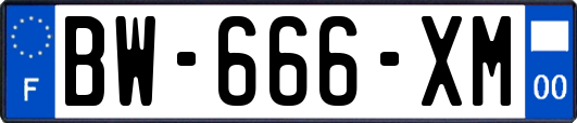 BW-666-XM