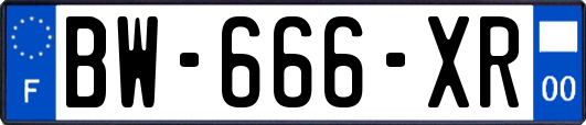 BW-666-XR