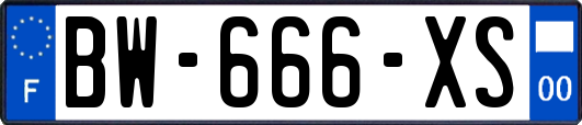 BW-666-XS