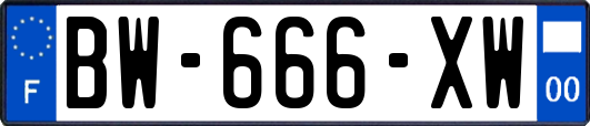 BW-666-XW